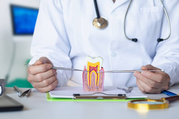Best Same-Day Emergency Dental Services in Park Hills, MO